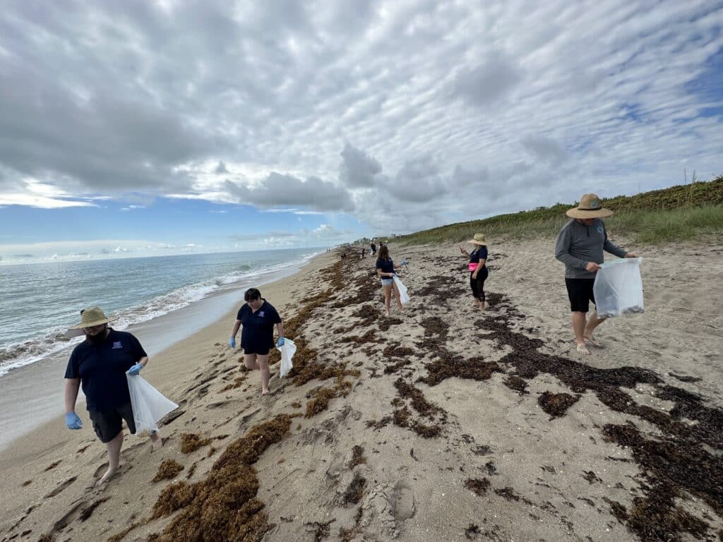 A group of people picking dirts on the martin county beach